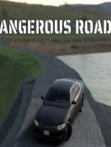 危险的道路