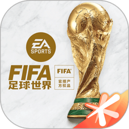 fifa足球世界国际服