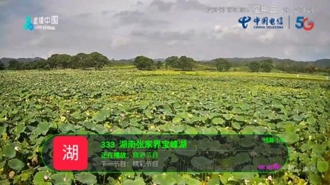 月兔tv电视版