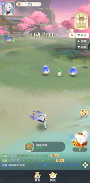 桃花师