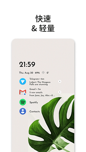 niagara launcher